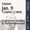 Employment Solutions at the Youth Wellness Hub 