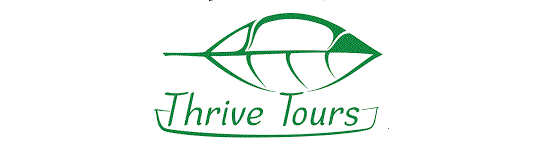 Thrive Tours Inc.